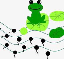 小蝌蚪成人绘画教程视频,从零基础到创作大师的蜕变之旅