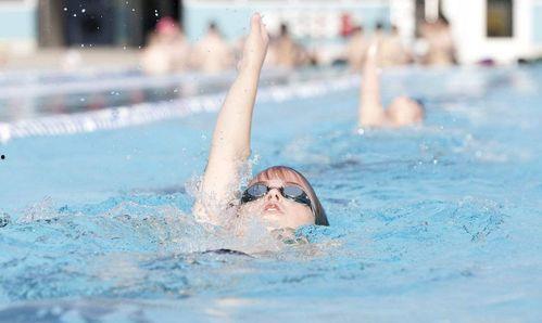 成人游泳姿势视频,成人游泳姿势视频解析