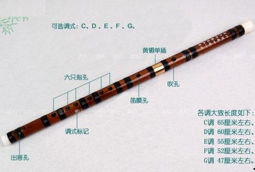 笛子成人初学立式视频,笛子初学者立式演奏入门指南