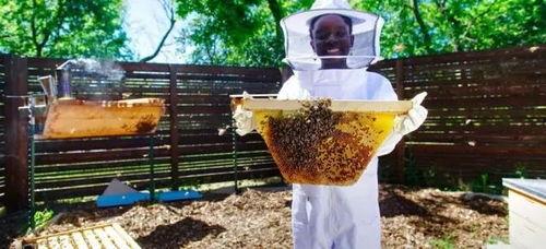 蜜蜂视频成人片,成人内容揭秘与反思