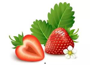 草莓视频成人入口,揭秘私密内容的世界