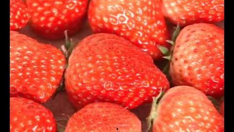 草莓视频成人入口,揭秘私密内容的世界