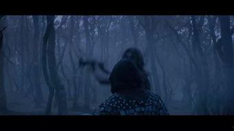 欧美午夜成人猛片视频,欧美午夜成人猛片揭秘