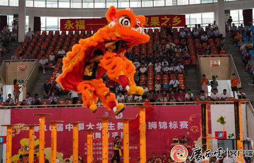成人舞狮大赛视频,成人舞狮大赛精彩瞬间回顾