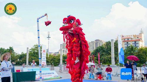 成人舞狮大赛视频,成人舞狮大赛精彩瞬间回顾