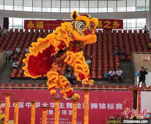 成人舞狮大赛视频,成人舞狮大赛精彩瞬间回顾