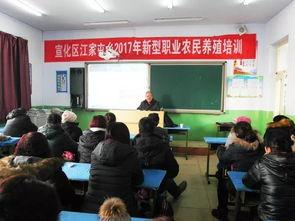 成人技能培训视频,成人技能培训视频深度解析