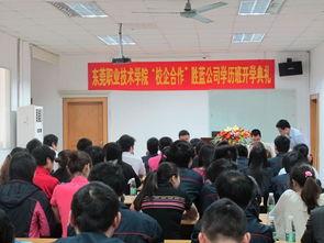 成人技能培训视频,成人技能培训视频深度解析