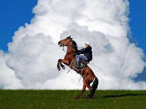 成人骑马进程视频大全,骑马教程视频大全解析