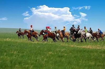 成人骑马进程视频大全,骑马教程视频大全解析