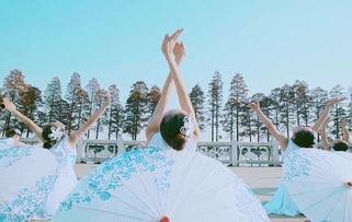 汕尾成人考级舞蹈视频,舞动人生，绽放魅力