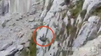 野猪怎么变成人类视频,揭秘神秘视频背后的奇幻之旅