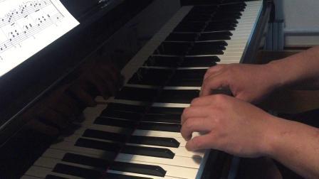 成人钢琴乐理手绘视频,成人自学入门指南