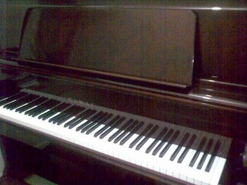 成人钢琴乐理手绘视频,成人自学入门指南