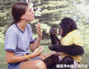 孩子变成人类视频,孩子成长视频背后的奇妙旅程