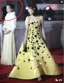 成人法式礼服走秀视频,成人礼服走秀风采再现