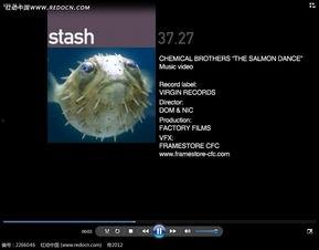 变异成人鱼视频在线观看