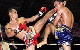 成人私教热身拳击视频