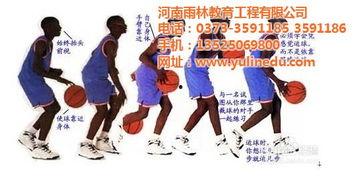 成人静音篮球视频教程下载,成人篮球技能提升攻略